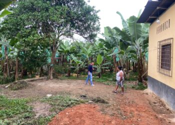 Trabajador de una finca encontró un feto mientras removía la tierra