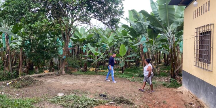 Trabajador de una finca encontró un feto mientras removía la tierra
