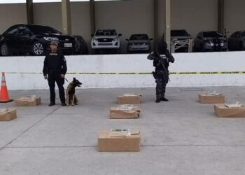 Hércules encontró dos toneladas de sustancias ilícitas