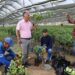 Prefectura entregará medio millón de plantulas al sector cafetalero