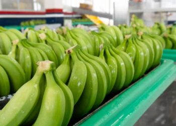 Cinco productos orenses participan en Feria Internacional
