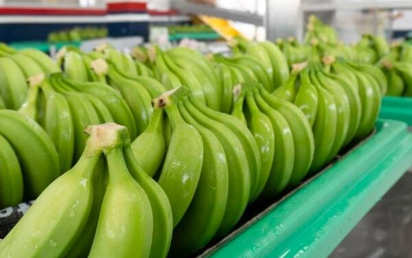 Cinco productos orenses participan en Feria Internacional