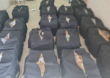 Más de una tonelada de sustancias ilícitas fueron halladas en una vivienda
