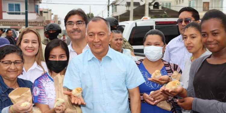 Pollitos y balanceado continúan entregándose en Machala