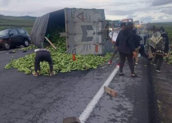 Camion perdió pista y se volcó