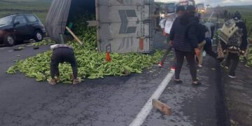 Camion perdió pista y se volcó
