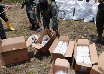 3.425 tacos de dinamita se decomisaron en operativo contra la minería ilegal