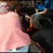 Falleció al chocar con su moto