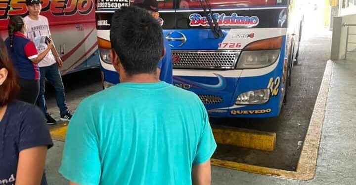 Le dieron escopolamina en un bus