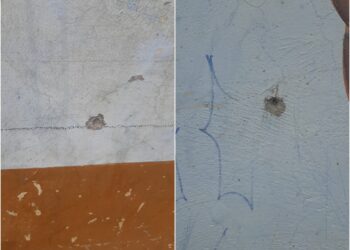 Sujetos realizaron disparos cerca del parque Algarrobo