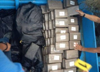 Ecuatoriano podría enfrentar cadena perpetua por tráfico de sustancias ilícitas