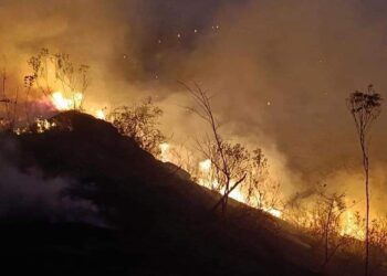 Cinco horas tomó controlar incendio forestal