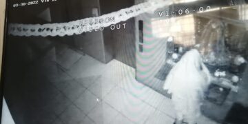 Se robaron las limosnas de la Virgen del Cisne
