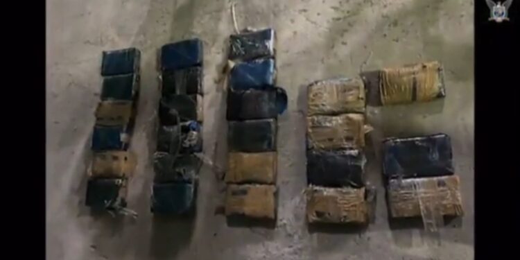 Se encontraron sustancias ilícitas en un contenedor