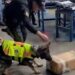 Incautan alcaloide camuflado en una caja de rosas en el aeropuerto de Quito