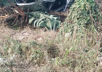 Carro terminó volcado entre una bananera