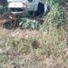 Carro terminó volcado entre una bananera
