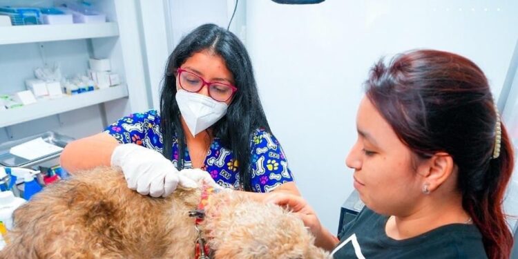 Clínica Veterinaria Municipal atiende a mascotas de El Cambio