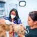 Clínica Veterinaria Municipal atiende a mascotas de El Cambio