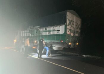 Delincuentes se robaron 7.000 dólares en asalto a un camión
