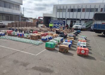 120.000 dólares en mercadería ilegal fue decomisado