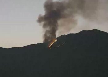 Incendio forestal en cerro Pico de Pescado