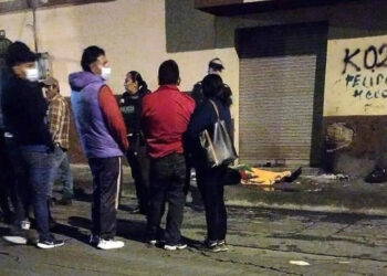Perro permaneció junto al cadáver de su dueño hasta que se lo llevaron