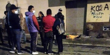 Perro permaneció junto al cadáver de su dueño hasta que se lo llevaron