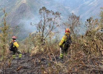 45 hectáreas de bosque fueron afectadas por incendio forestal