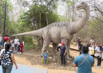 Dos dinosaurios con movimiento y sonido se incorporaron en el bosque petrificado de Puyango