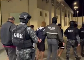 Una organización delictiva fue desarticulada
