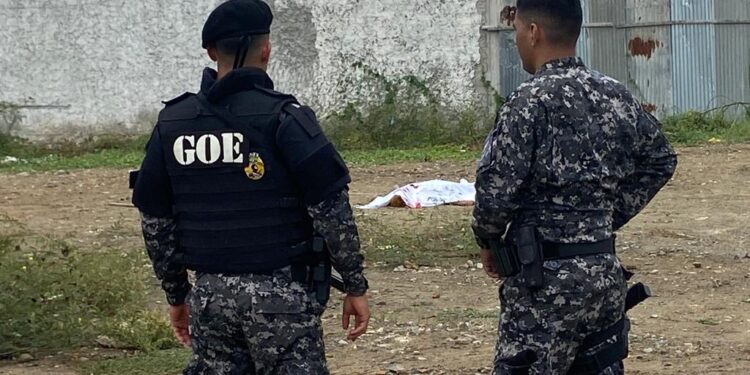 Con 14 disparos acabaron con la vida de alias Pitufo