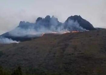 Incendio forestal en el parque nacional El Cajas