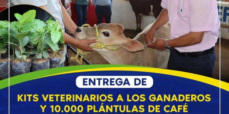 Prefectura entregará kits veterinarios y 10.000 plántulas