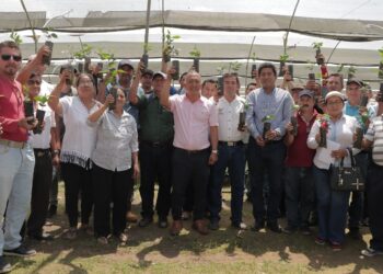 Prefectura entregó plántulas de café en la parte alta de El Oro