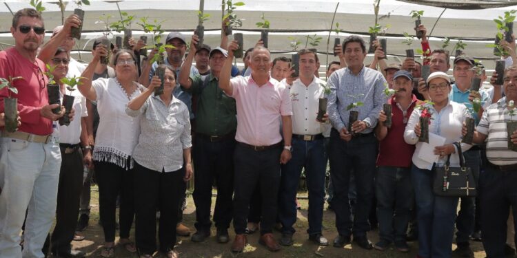 Prefectura entregó plántulas de café en la parte alta de El Oro