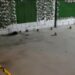 Salió a cobrar una deuda y la muerte lo encontró