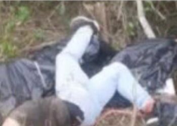 Encuentran a tres personas sin vida metidas en fundas