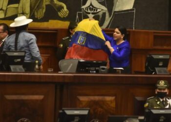 Pleno de la asamblea destituyó a cuatro vocales del Consejo de Participación Ciudadana
