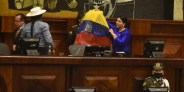 Pleno de la asamblea destituyó a cuatro vocales del Consejo de Participación Ciudadana