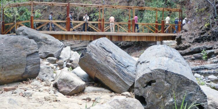 Bosque Petrificado de Puyango fue rehabilitado y mejorado