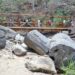 Bosque Petrificado de Puyango fue rehabilitado y mejorado