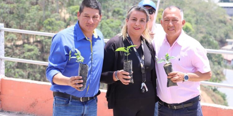 Prefectura reactiva al sector ganadero y cafetalero de Zaruma