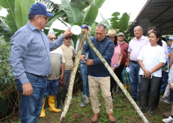 Prefectura repotencia sistema de riego comunitario en El Guabo