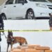 Se decomisó 7,2 toneladas de cocaína en dos operativos ejecutados en Guayaquil