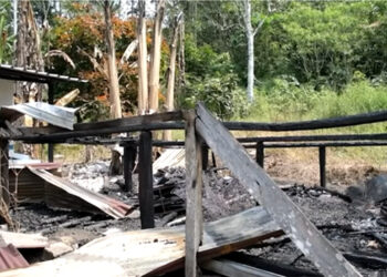 (Video) Un incendio registrado en el cantón Santa Clara provincia de Pastaza