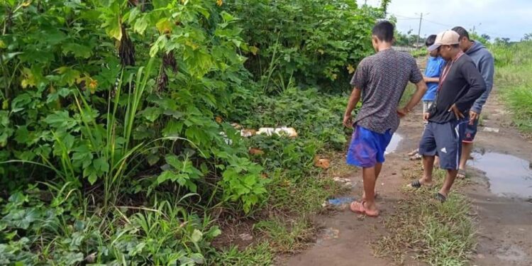 Lo victimaron y lo botaron a la maleza