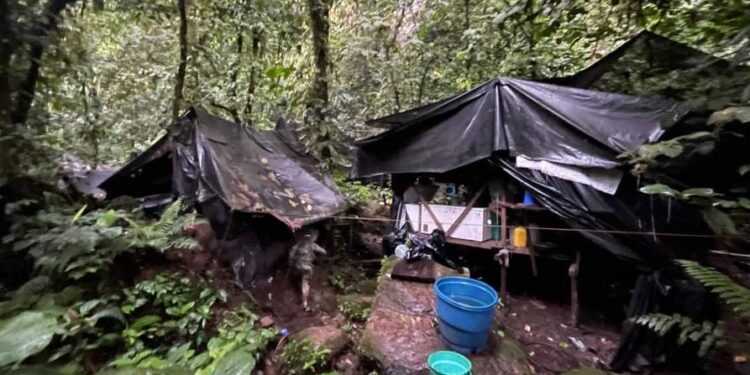 Laboratorio de procesamiento de sustancias ilícitas fue localizado