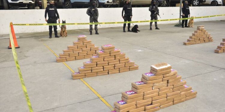 Casi una tonelada de sustancias ilícitas se incautó en contenedor con atún