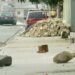 Fue victimado afuera de su casa